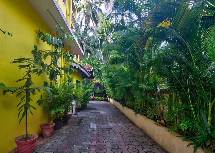 Nikita Stay Goa